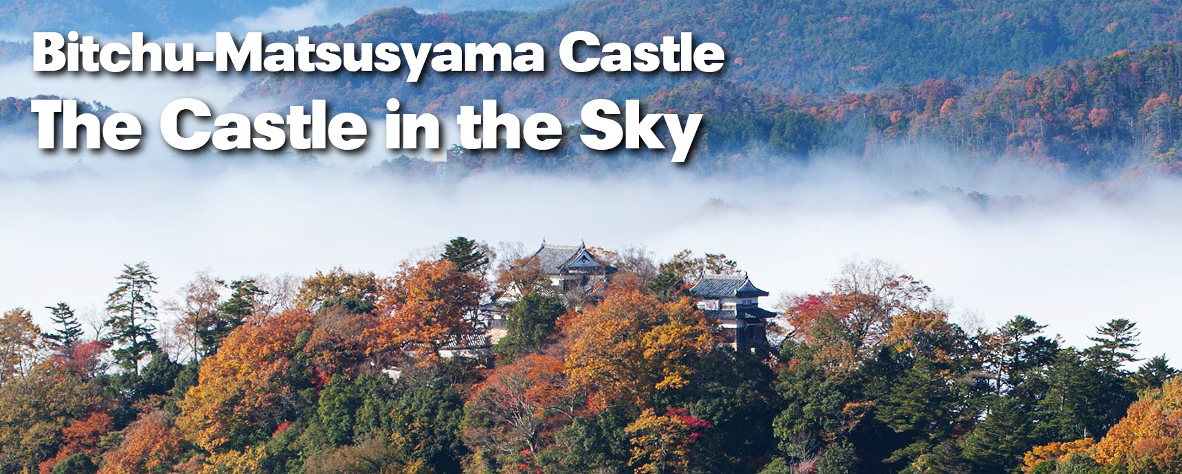 Bitchu-matsuyama Castle