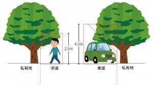 （図）伸びた竹木で通行の支障となる部分
