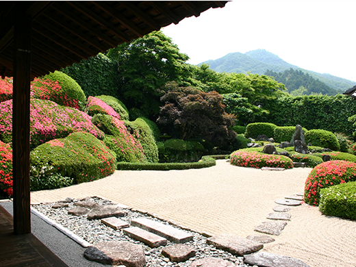頼久寺庭園の写真1