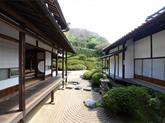 頼久寺庭園の写真2