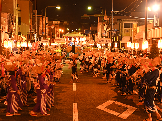 松山踊りの写真1