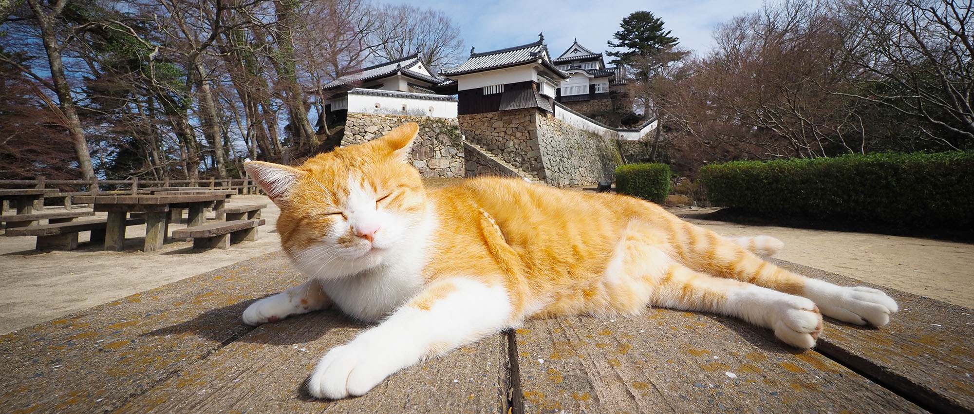 さんじゅーろー