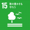エスディジーズの15