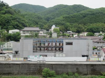 全体