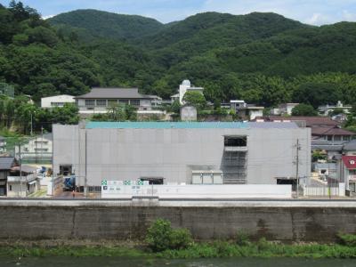 全体