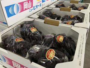 ぶどう２kg箱