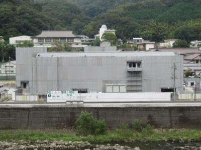 全体