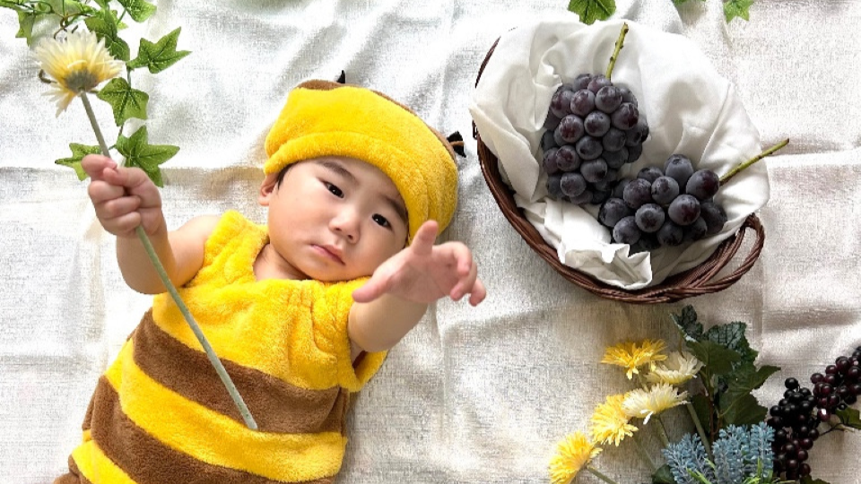 特選「ぶどうの香りに誘われて迷いこんだハチ」