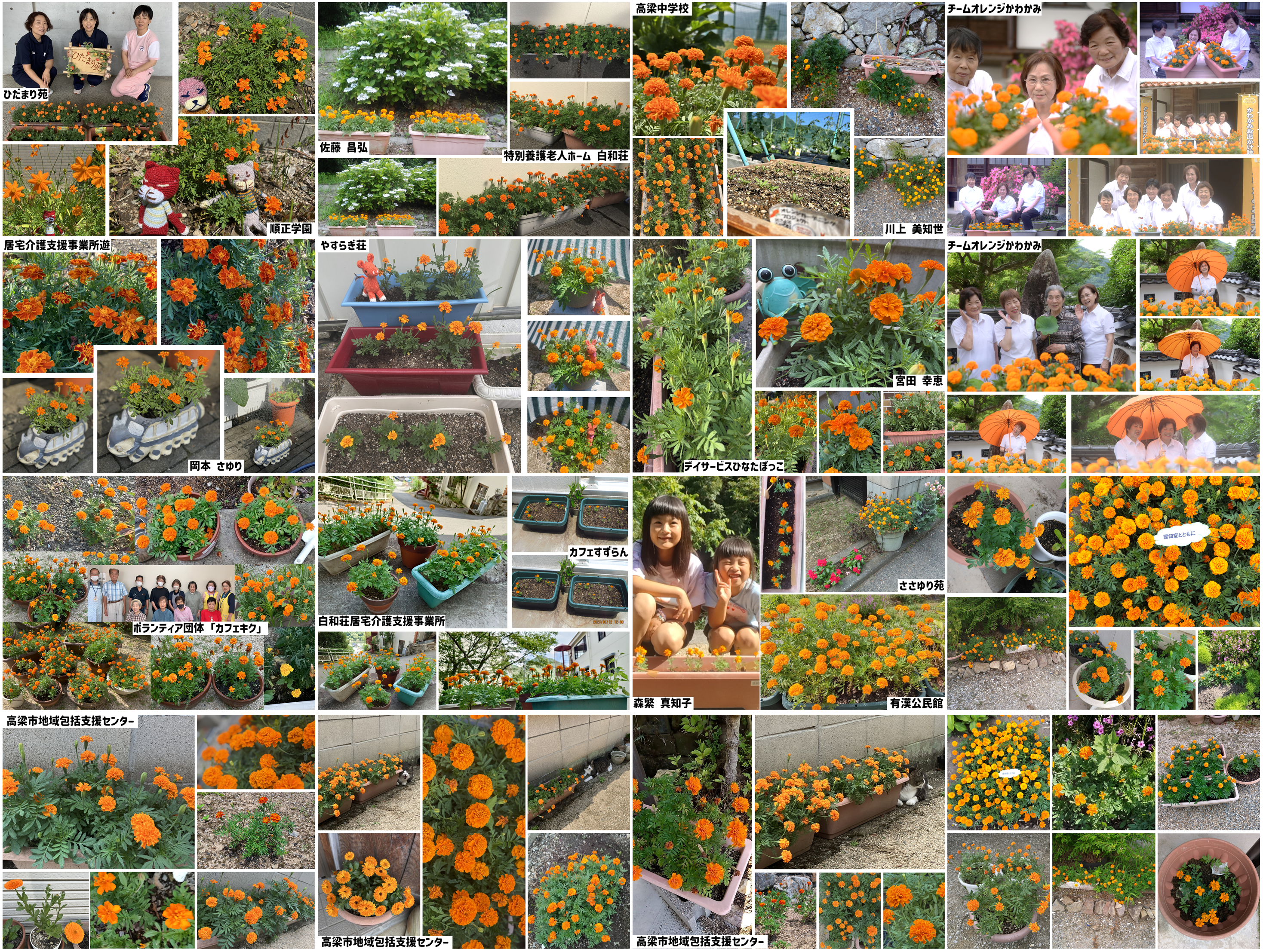 R7オレンジガーデニングプロジェクト