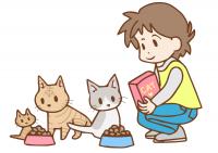 保護猫画像