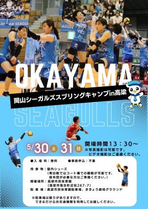 スプリングキャンプ　チラシ表