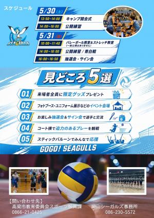 スプリングキャンプ　チラシ裏